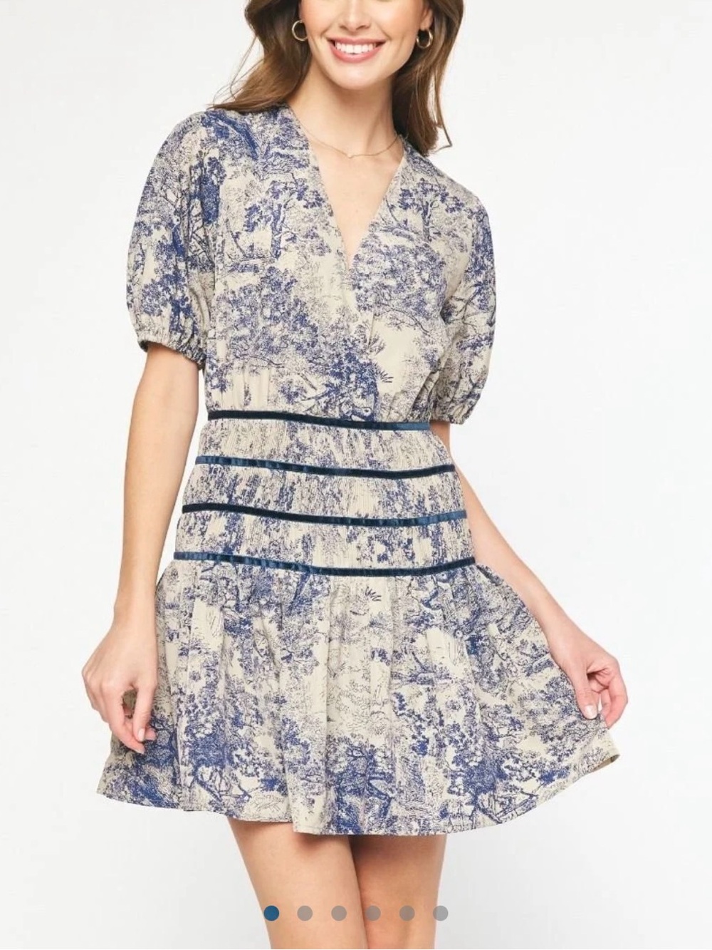 Toile V-Neck Short Sleeve Dress in Blue and Cream